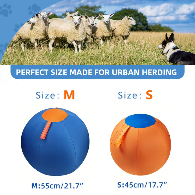 Dog Training & Interactive Fetch Balls – Indoor & Outdoor