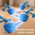 Automatic Rolling Dog Ball – USB Rechargeable