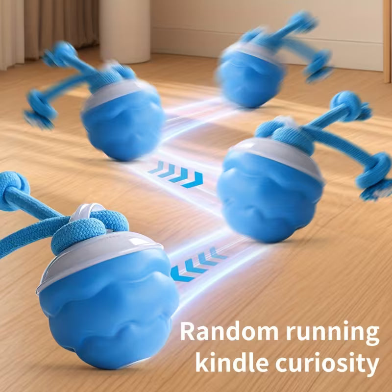Automatic Rolling Dog Ball – USB Rechargeable
