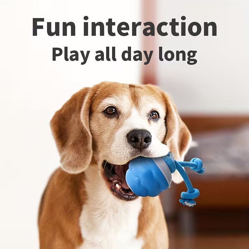 Automatic Rolling Dog Ball – USB Rechargeable
