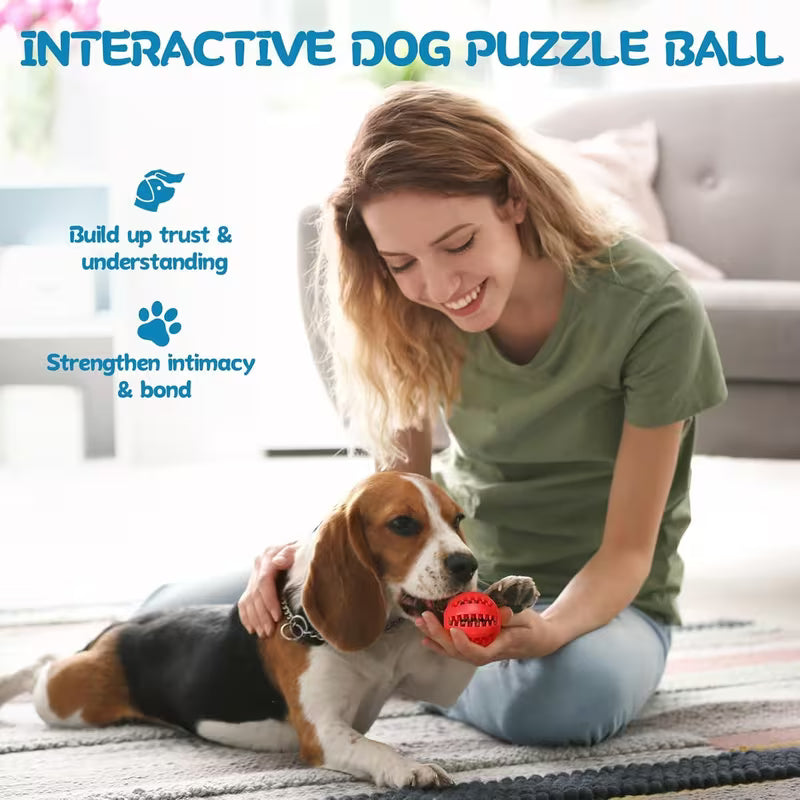 12 Pack Interactive Treat Dispensing Dog Balls