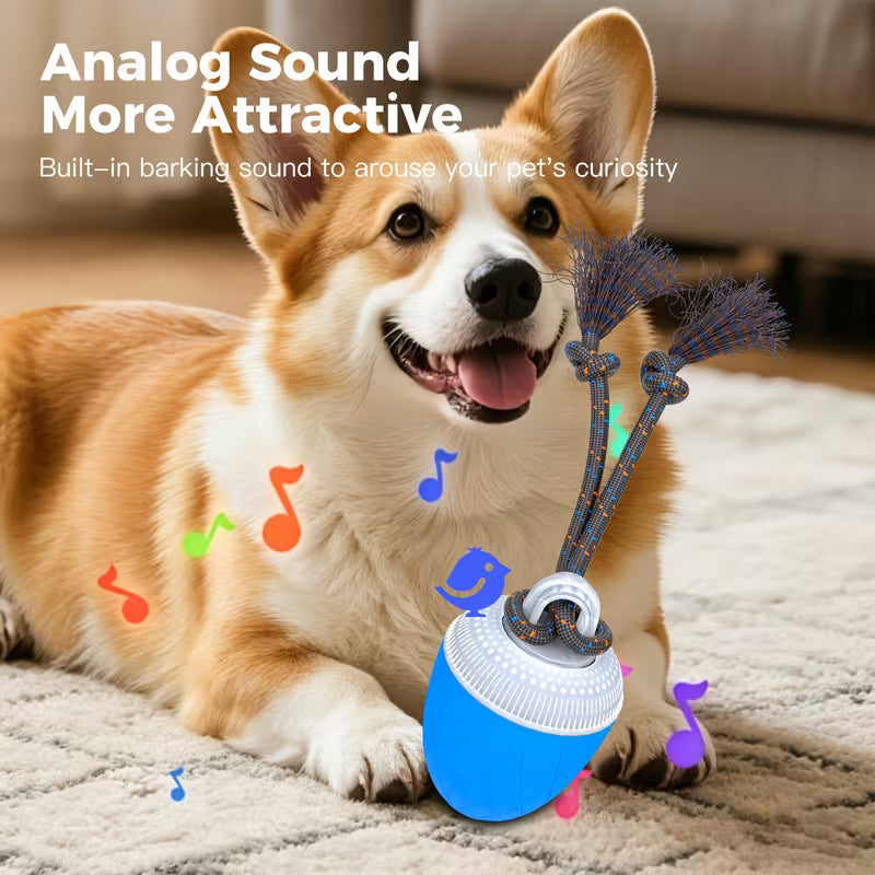 Smart Interactive Dog Ball with Rope – Rechargeable