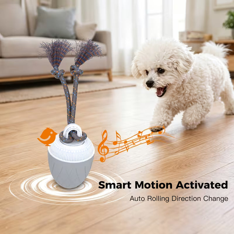 Smart Interactive Dog Ball with Rope – Rechargeable