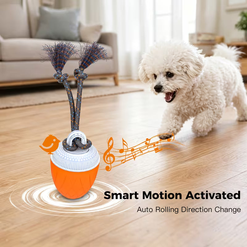 Smart Interactive Dog Ball with Rope – Rechargeable