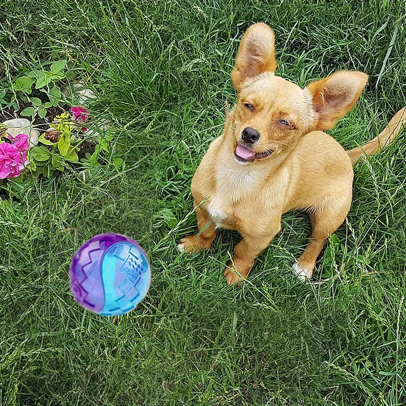 Interactive Sound Dog Ball – Bouncy & Chew Toy