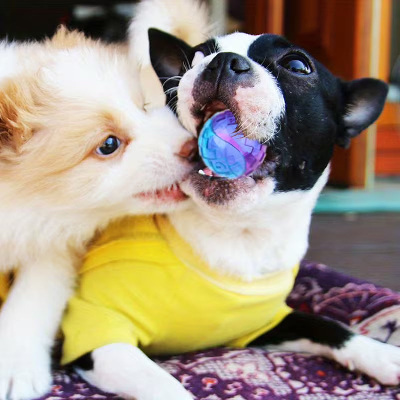 Interactive Sound Dog Ball – Bouncy & Chew Toy