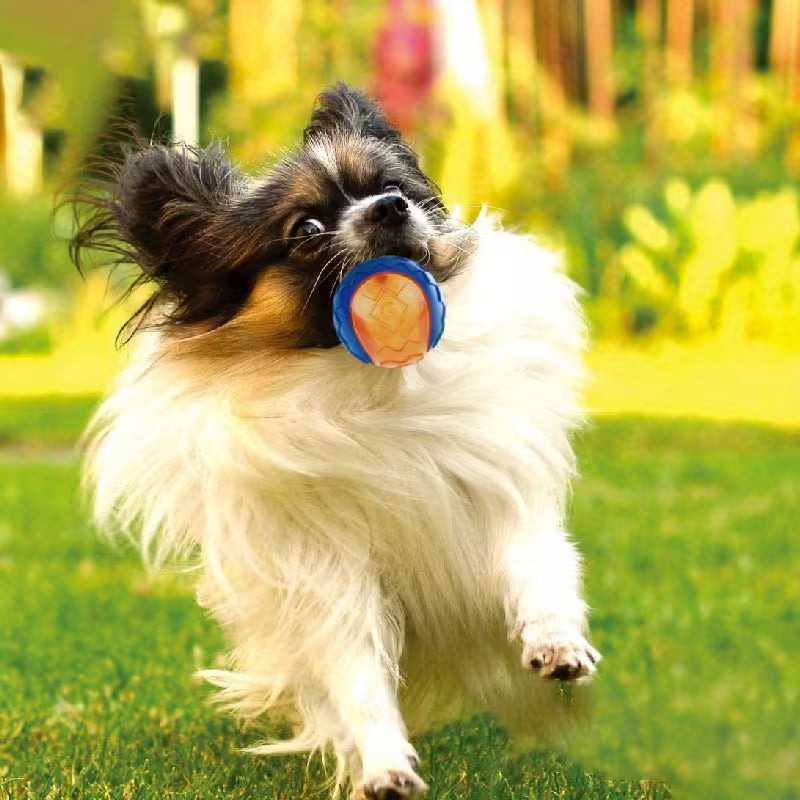 Interactive Sound Dog Ball – Bouncy & Chew Toy