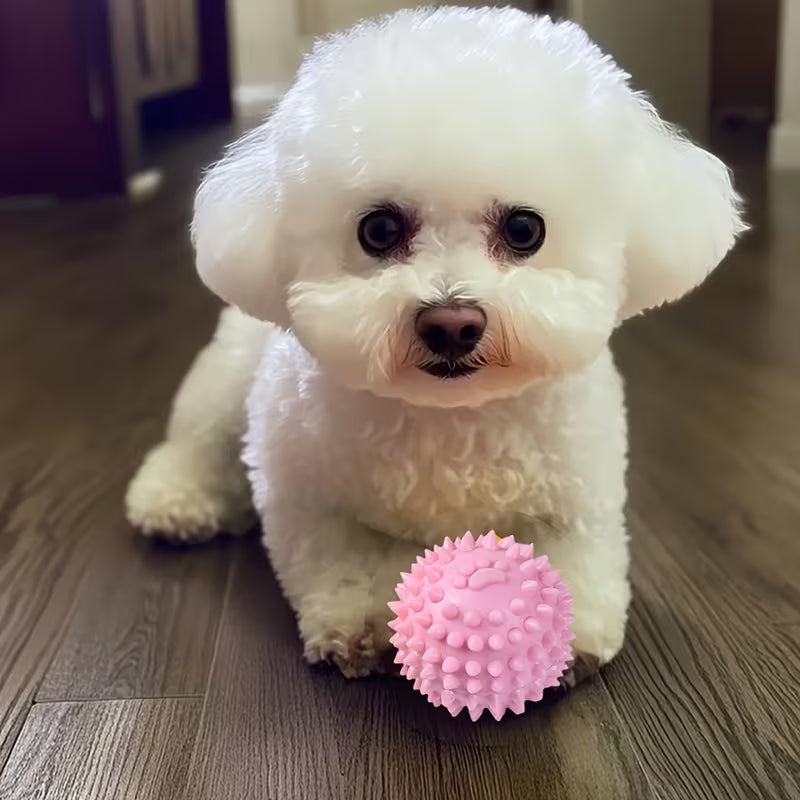 8 Pack Squeaky Dental Dog Toys for Small Dogs