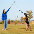 Interactive Dog Teaser Wand with Rope