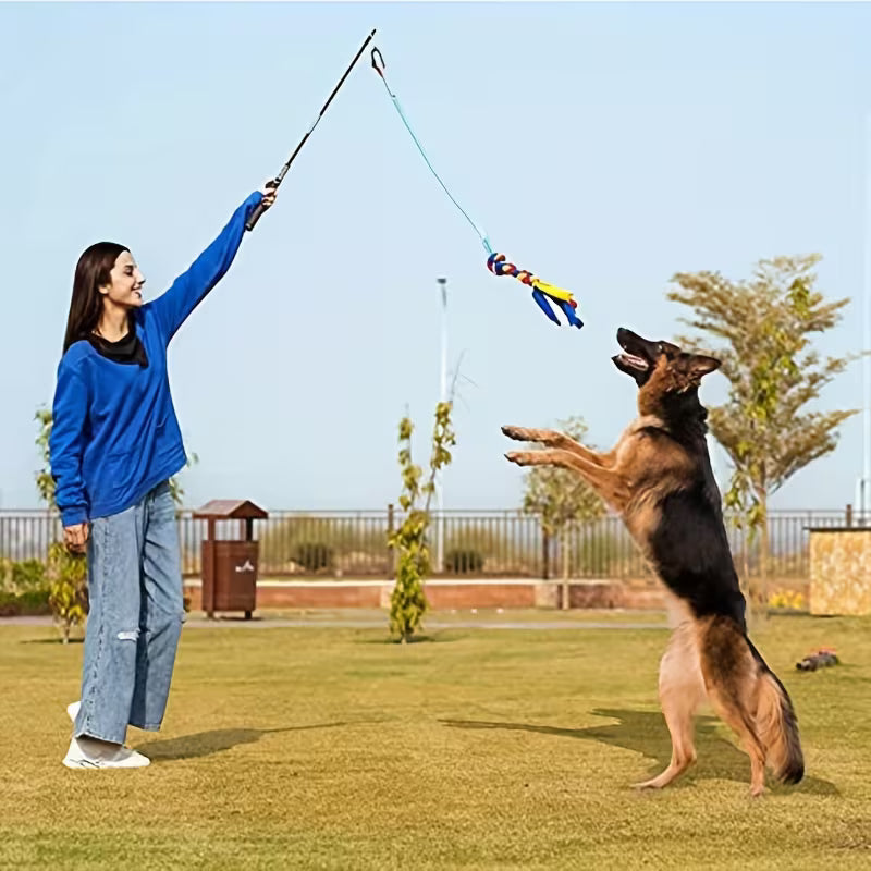 Interactive Dog Teaser Wand with Rope