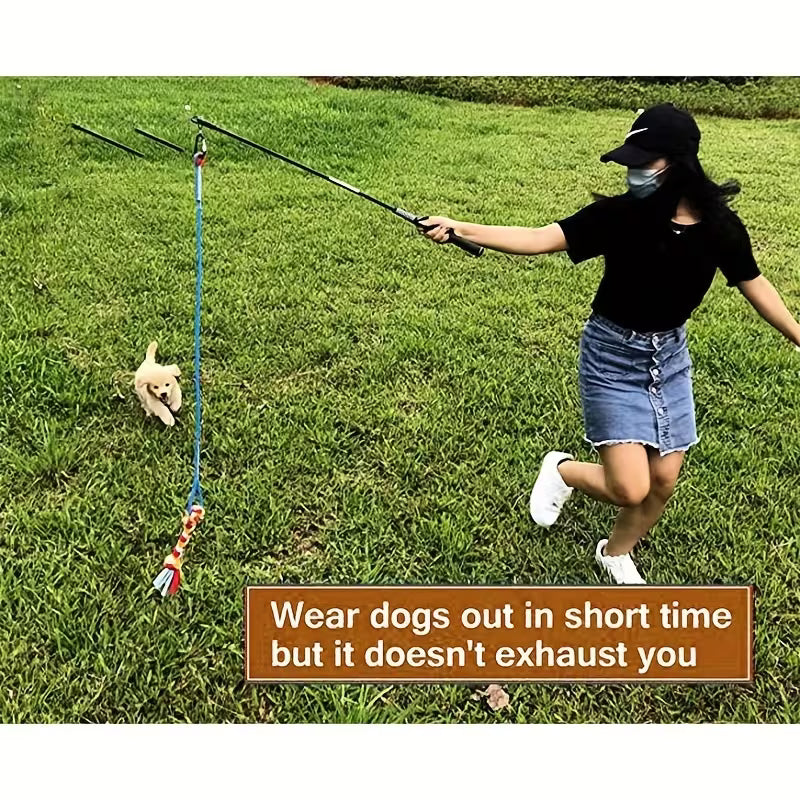 Interactive Dog Teaser Wand with Rope