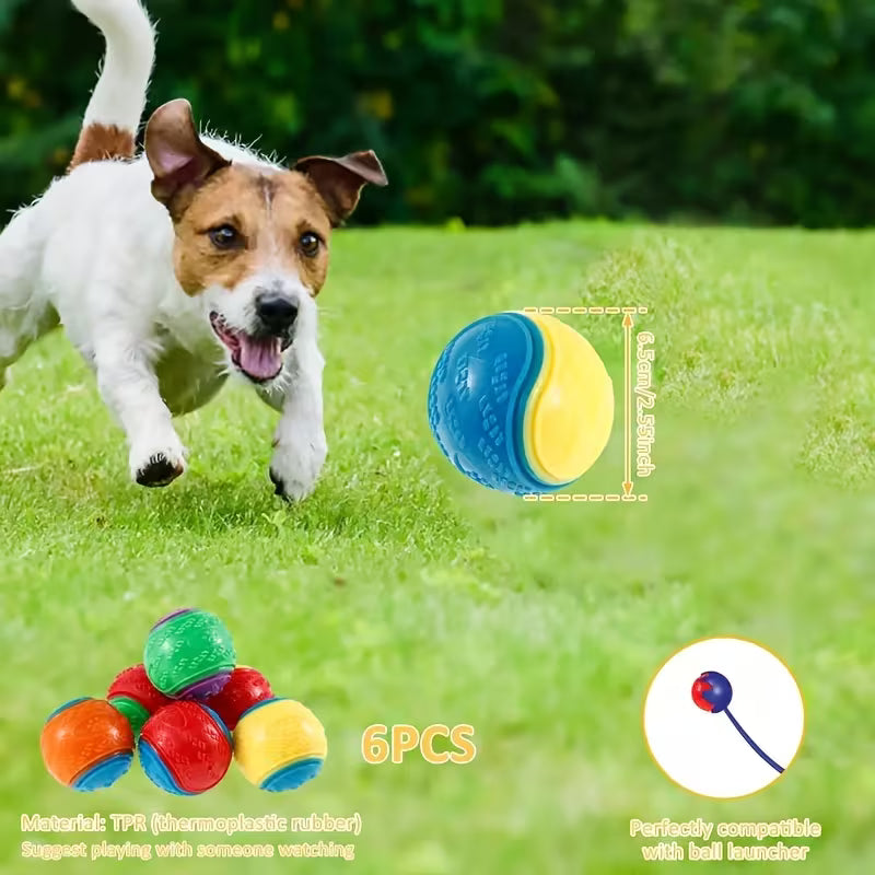 6 Pack Squeaky Dog Balls – Bouncy & Durable