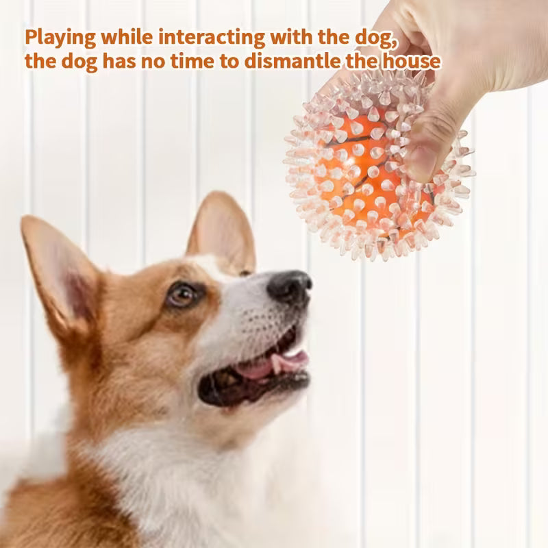 4 Pack Spiky Dental Dog Balls – Chew & Training