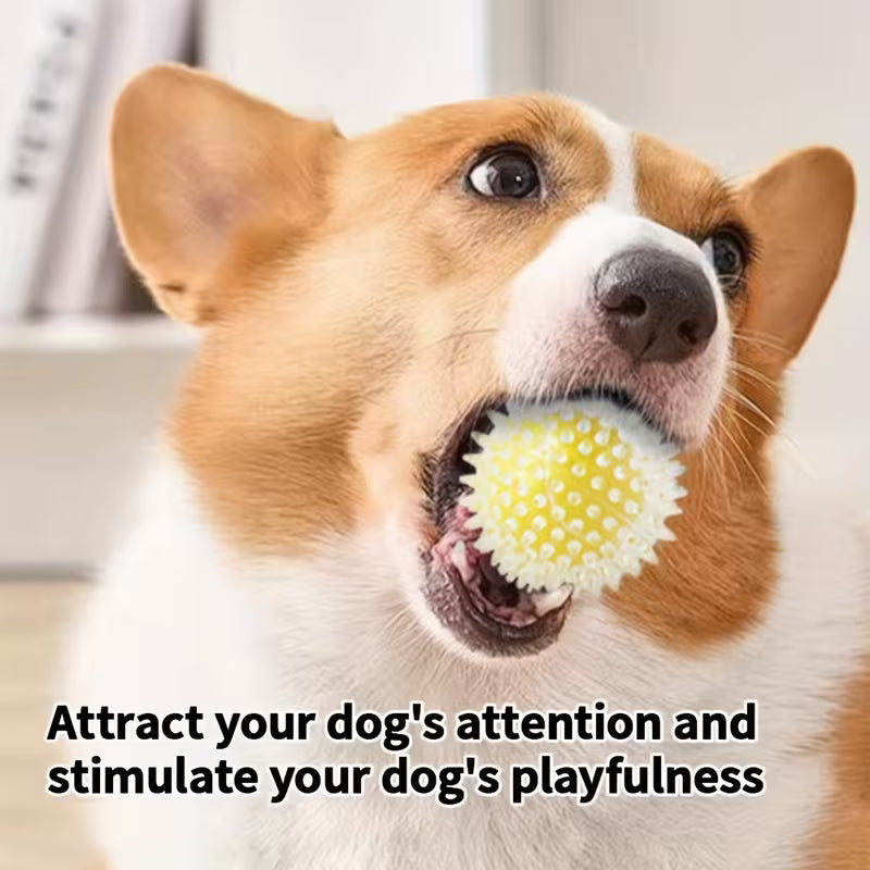 4 Pack Spiky Dental Dog Balls – Chew & Training