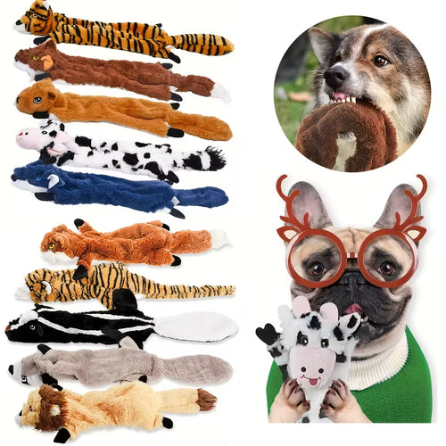 10 Pack Squeaky Plush Dog Toys for Puppies & All Breeds