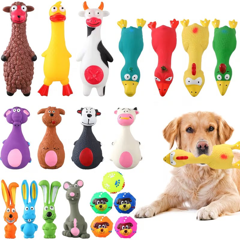 20 Pack Squeaky Latex Dog Toys for All Breeds