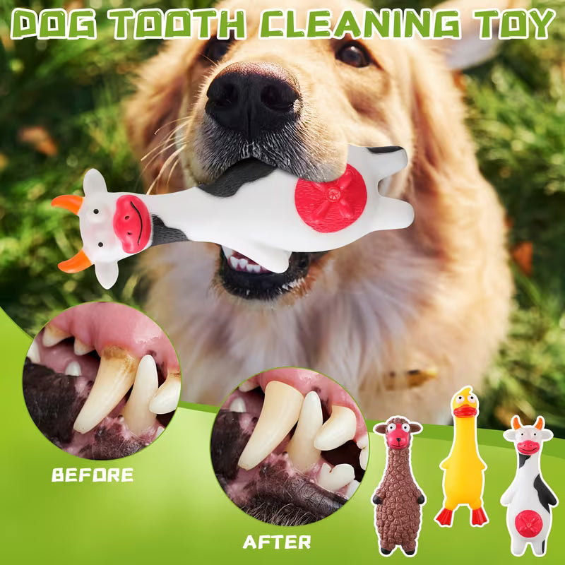 20 Pack Squeaky Latex Dog Toys for All Breeds