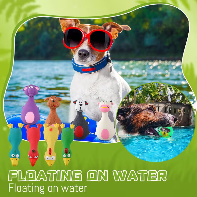 20 Pack Squeaky Latex Dog Toys for All Breeds