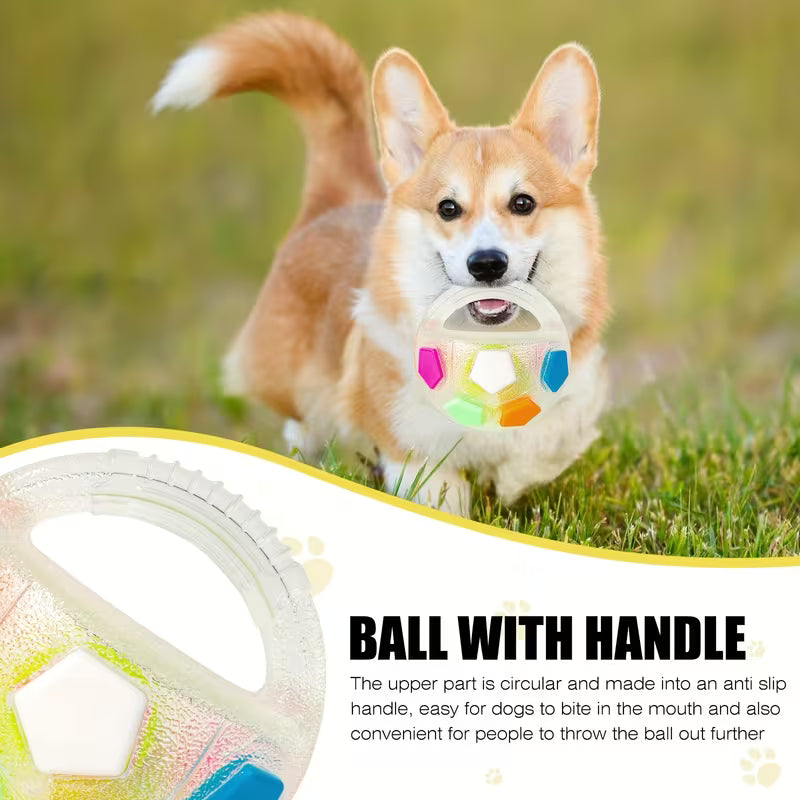 Calming Squeaky Floating Dog Ball – Fetch & Play