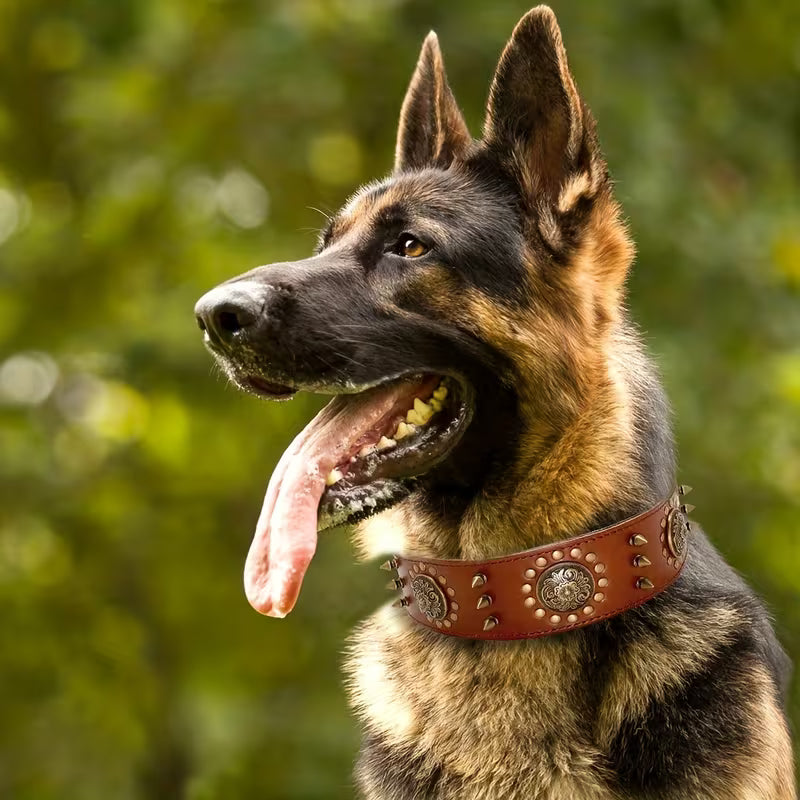Dog Collar For German Shepherds,