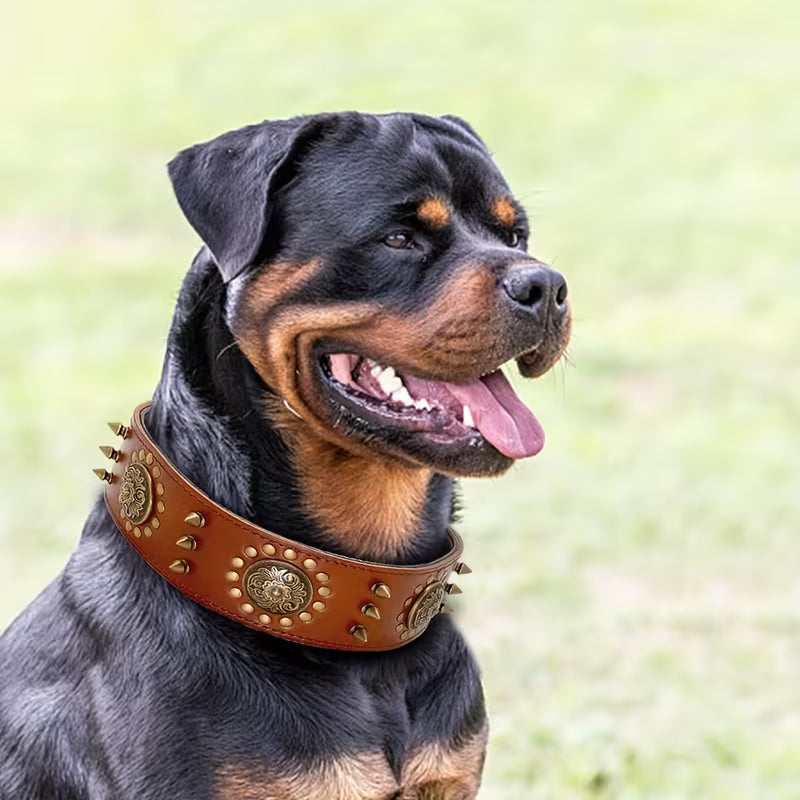 Dog Collar For German Shepherds,