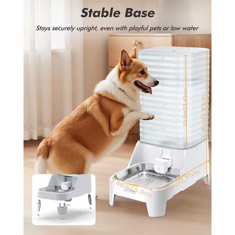 Dog Water Bowl Dispenser with Patented Faucet