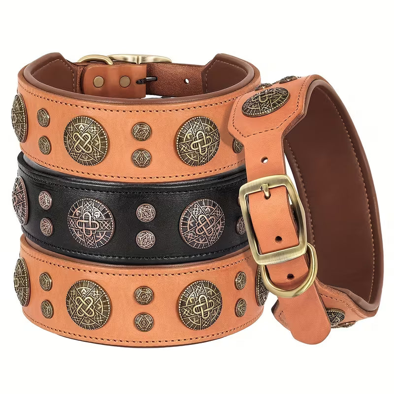 Dog Collar for Medium and Large Dogs