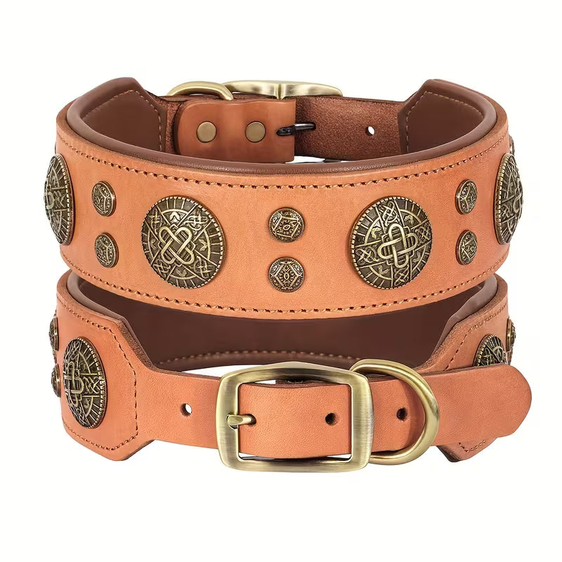 Dog Collar for Medium and Large Dogs