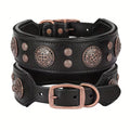 Dog Collar for Medium and Large Dogs