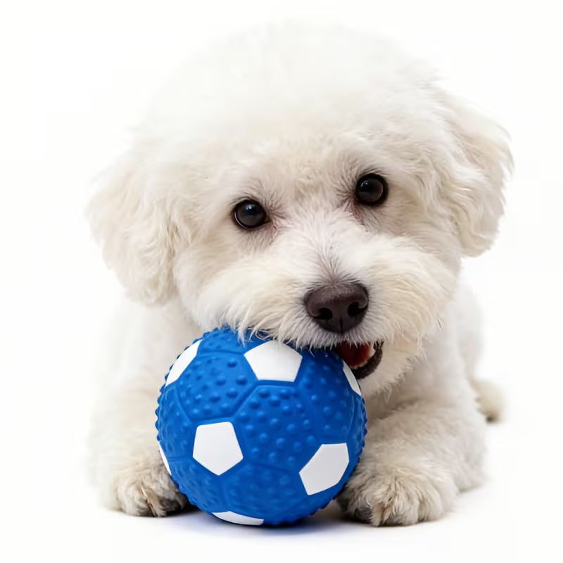 4pcs Sports Dog Chew Balls – Squeaky Bite-Resistant Training Toys