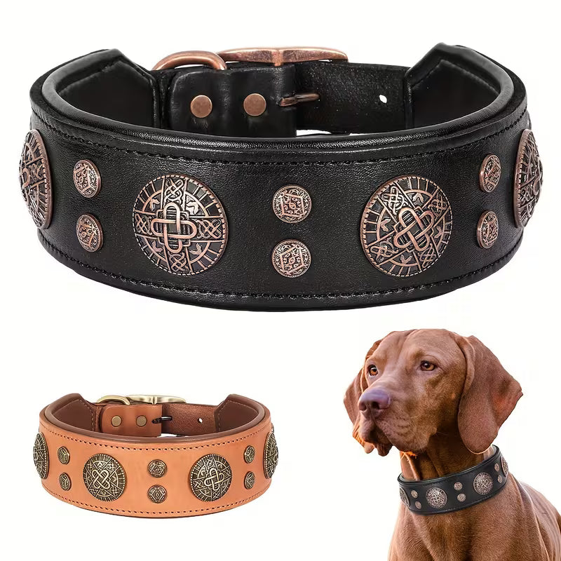 Dog Collar for Medium and Large Dogs