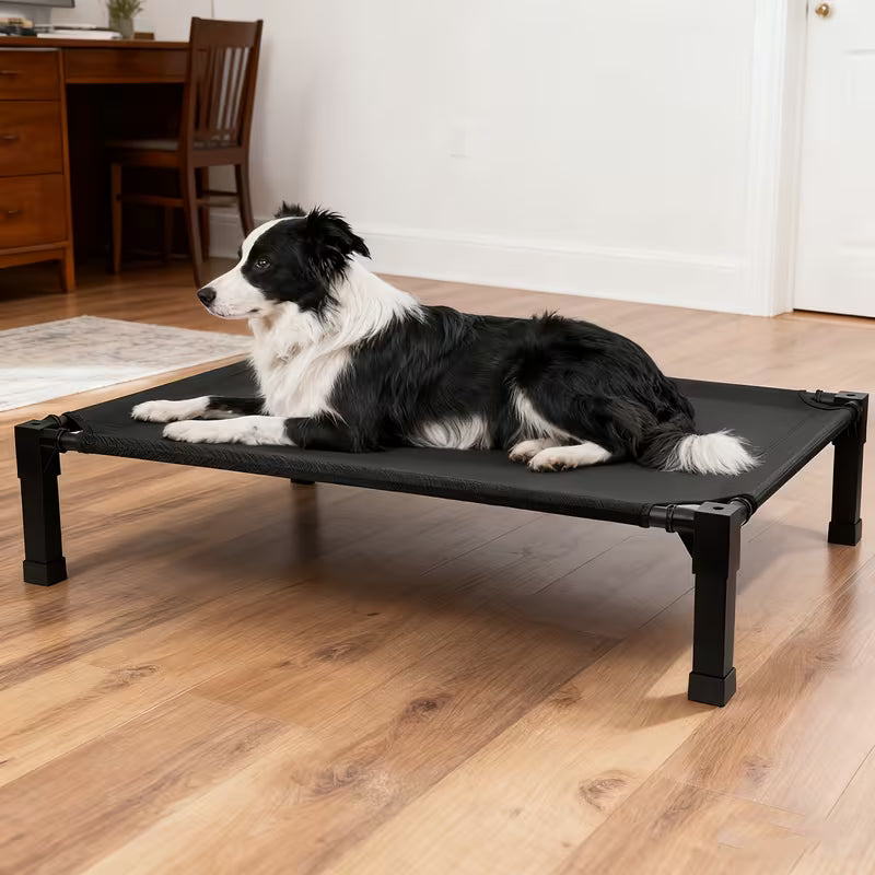 Cooling Elevated Dog Bed with Mesh