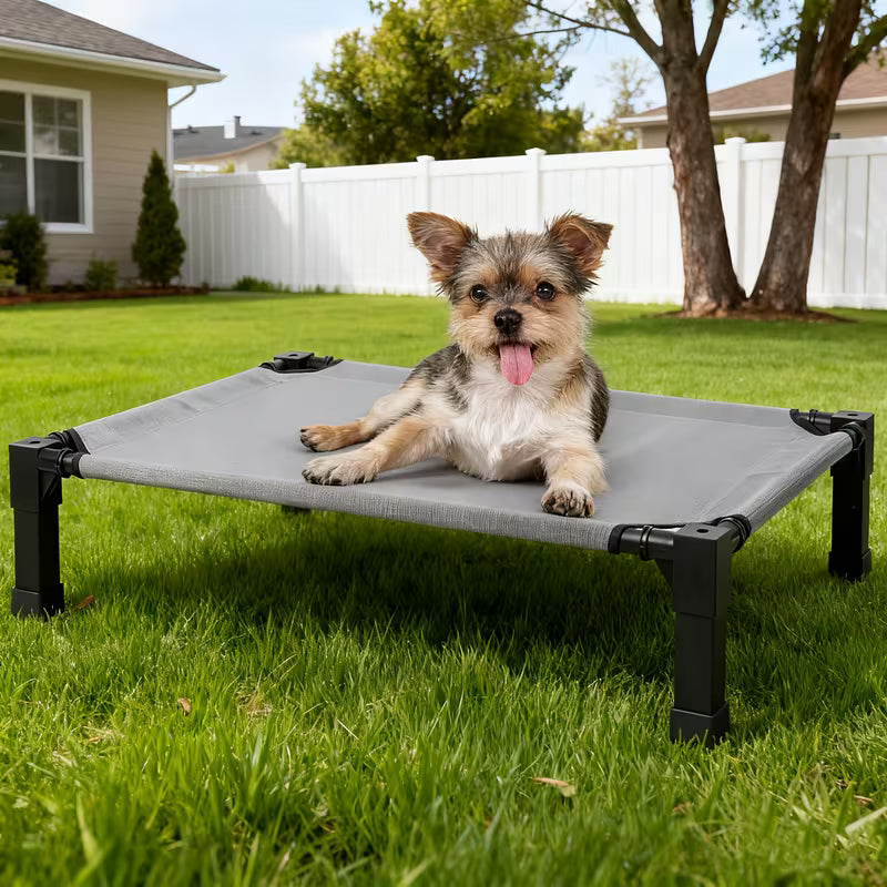 Cooling Elevated Dog Bed with Mesh