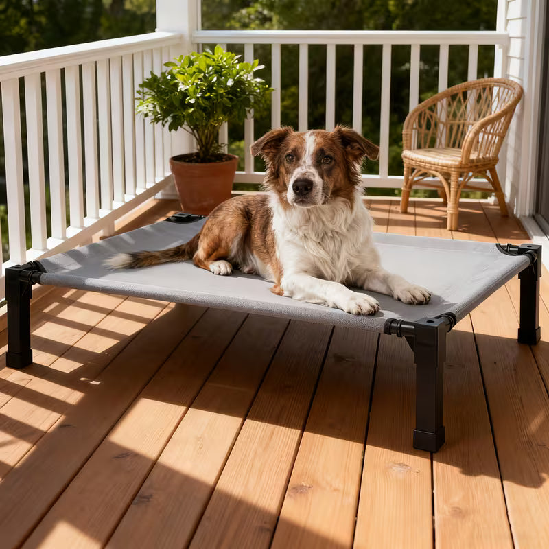 Cooling Elevated Dog Bed with Mesh