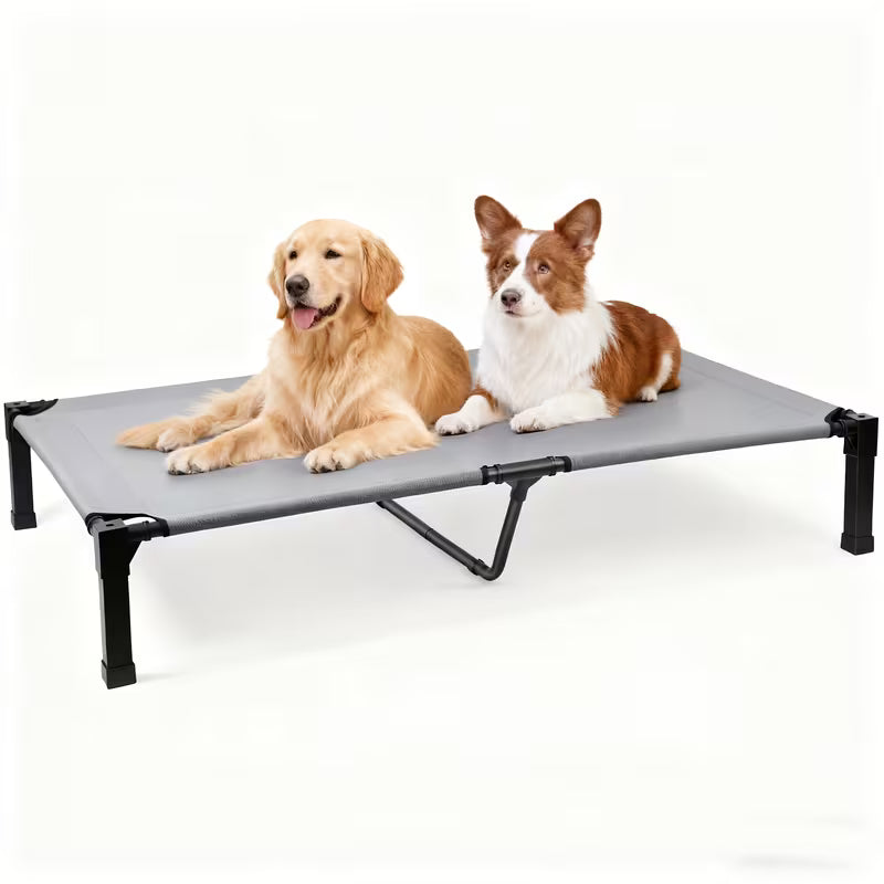 Cooling Elevated Dog Bed with Mesh