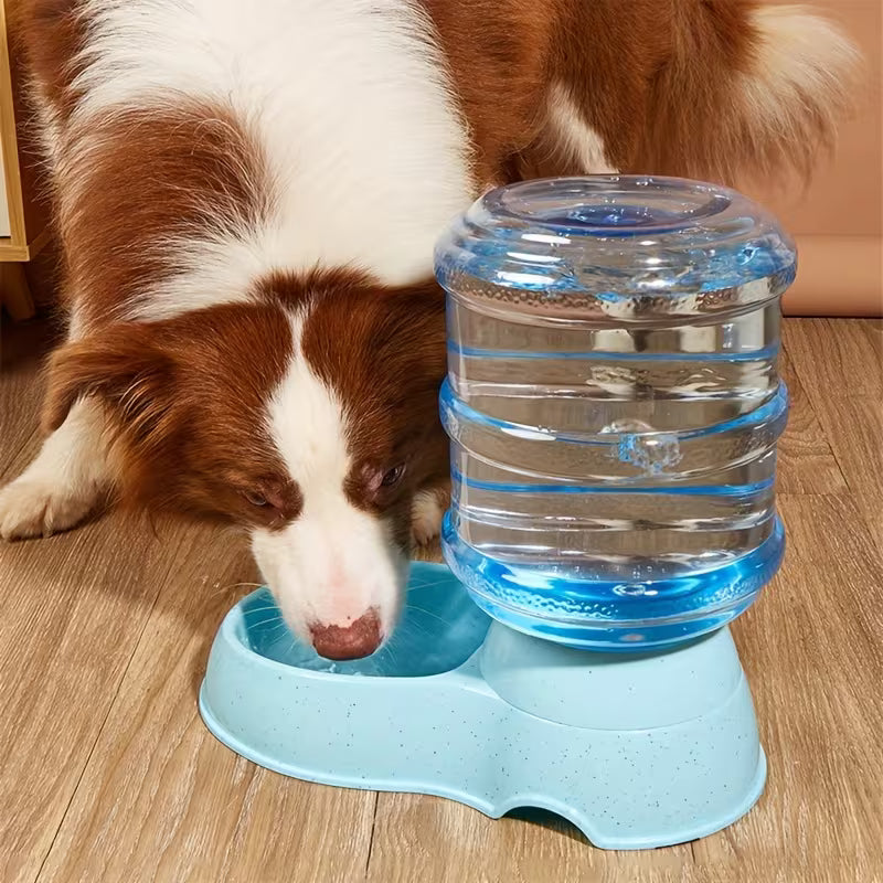 2-Piece Large Capacity Pet Water Feeder Set – Cat & Dog Dispenser