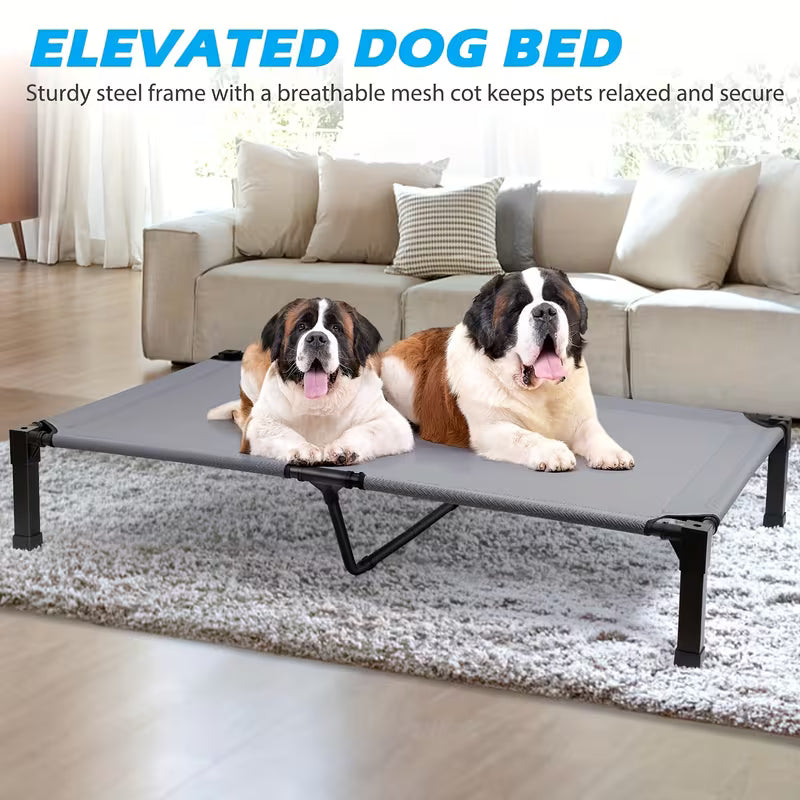 Cooling Elevated Dog Bed with Mesh