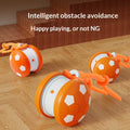 Interactive Cat Toy – USB Rechargeable Rolling Ball & Teaser Toy