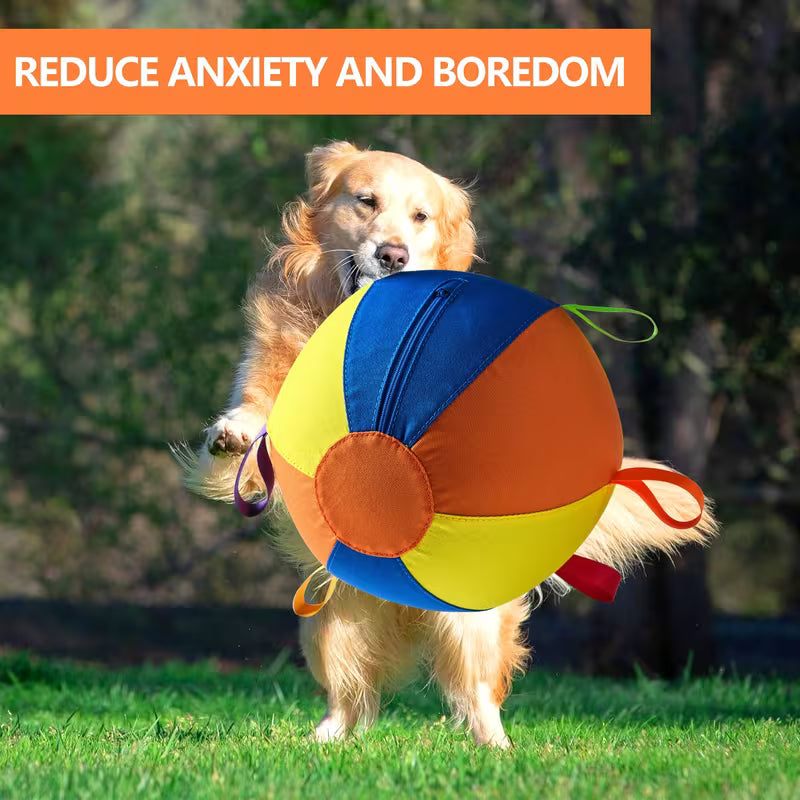 Dog Training & Interactive Fetch Balls – Indoor & Outdoor