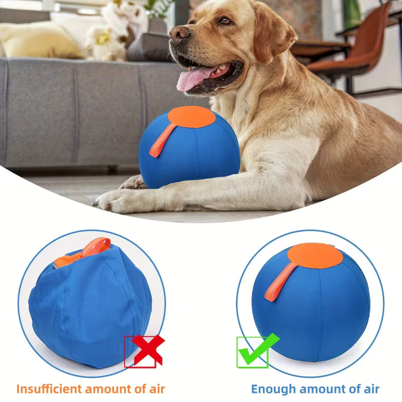 Dog Training & Interactive Fetch Balls – Indoor & Outdoor