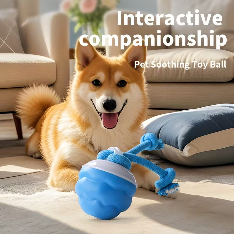 Automatic Rolling Dog Ball – USB Rechargeable