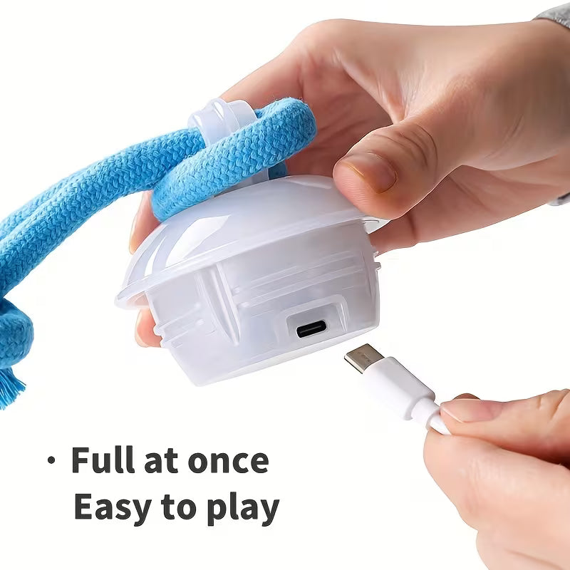 Automatic Rolling Dog Ball – USB Rechargeable