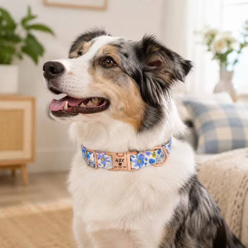 Personalized Floral Pet Collar – Custom Name & Phone ID for Dogs & Cats