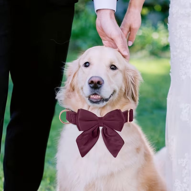 2-Piece Personalized Velvet Dog Collar & Bow Tie Set