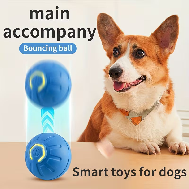 Interactive Electric Bouncing Ball Dog Toy – Automatic Self-Play Pet Toy
