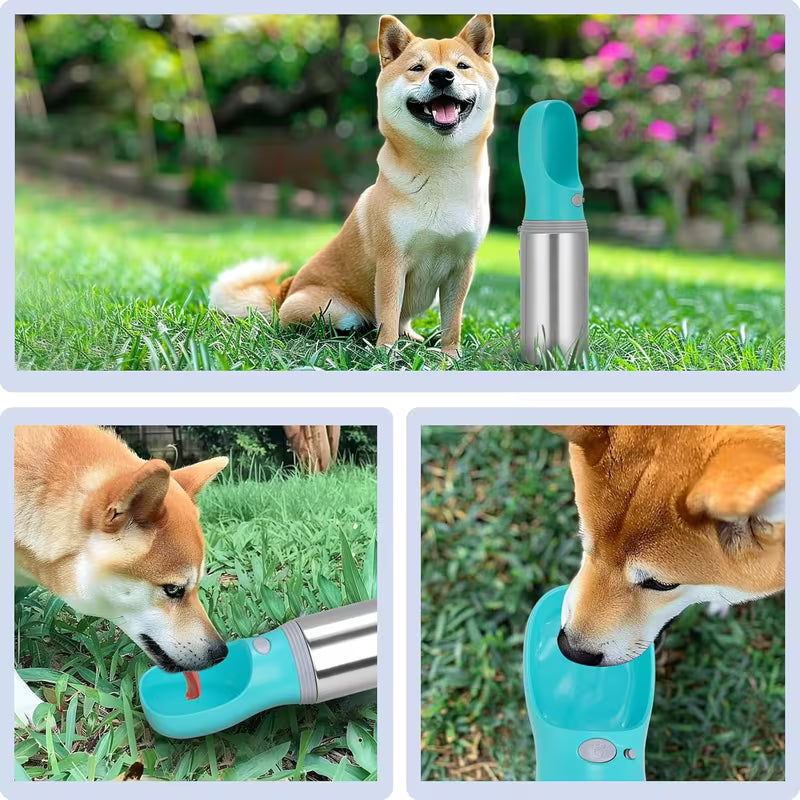 14oz Stainless Steel Dog Water Bottle – Leak-Proof Travel Dispenser
