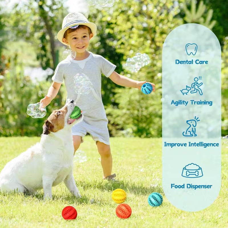 6 Pack Squeaky Dog Balls – Bouncy & Durable