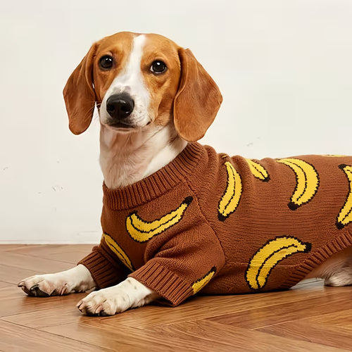 1-Piece Warm Knit Pet Sweater for Dogs & Cats – Cozy Autumn Winter Outfit & Halloween, Christmas & New Year Costume