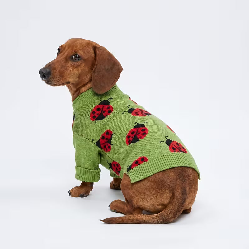1-Piece Warm Knit Pet Sweater for Dogs & Cats – Cozy Autumn Winter Outfit & Halloween, Christmas & New Year Costume