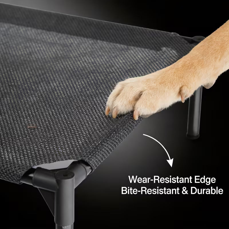 Breathable Elevated Pet Bed for Dogs & Cats